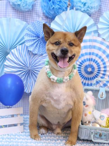 20231109やまとくん